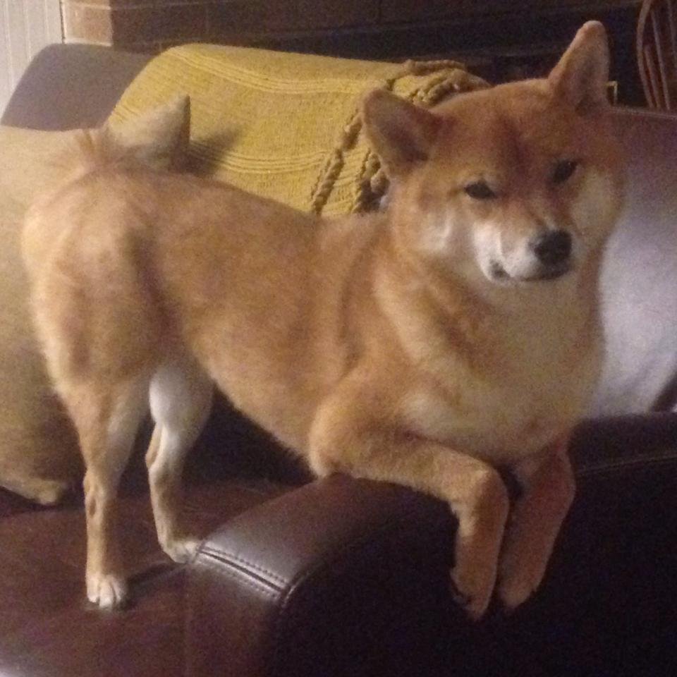 爱游戏-特色街区打造篮球文化主题活动吸引众多游客，篮球文化节活动主题