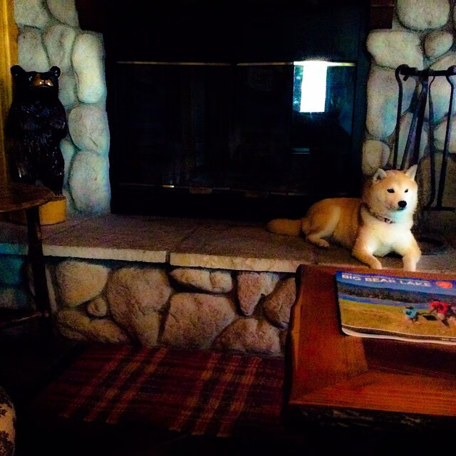 绝境反击：那些在欧冠赛场上上演的奇迹，绝境反击绝境反击