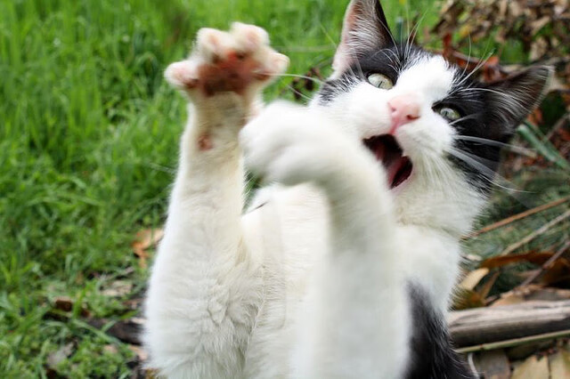 AYX GAMING-RNG开展赛季心理压力应对专项训练