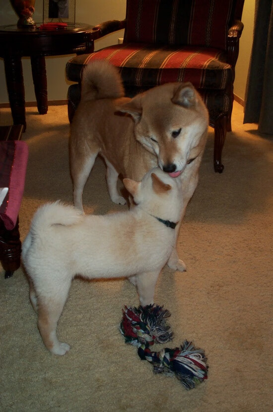 托桑·埃夫布奥姆万在NBA常规赛中取得生涯新高，埃托奥 布冯