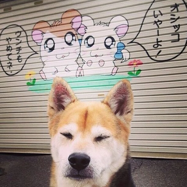 热火蝉联东部篮球霸主，保罗将助球队冲击总冠军，保罗篮球集锦