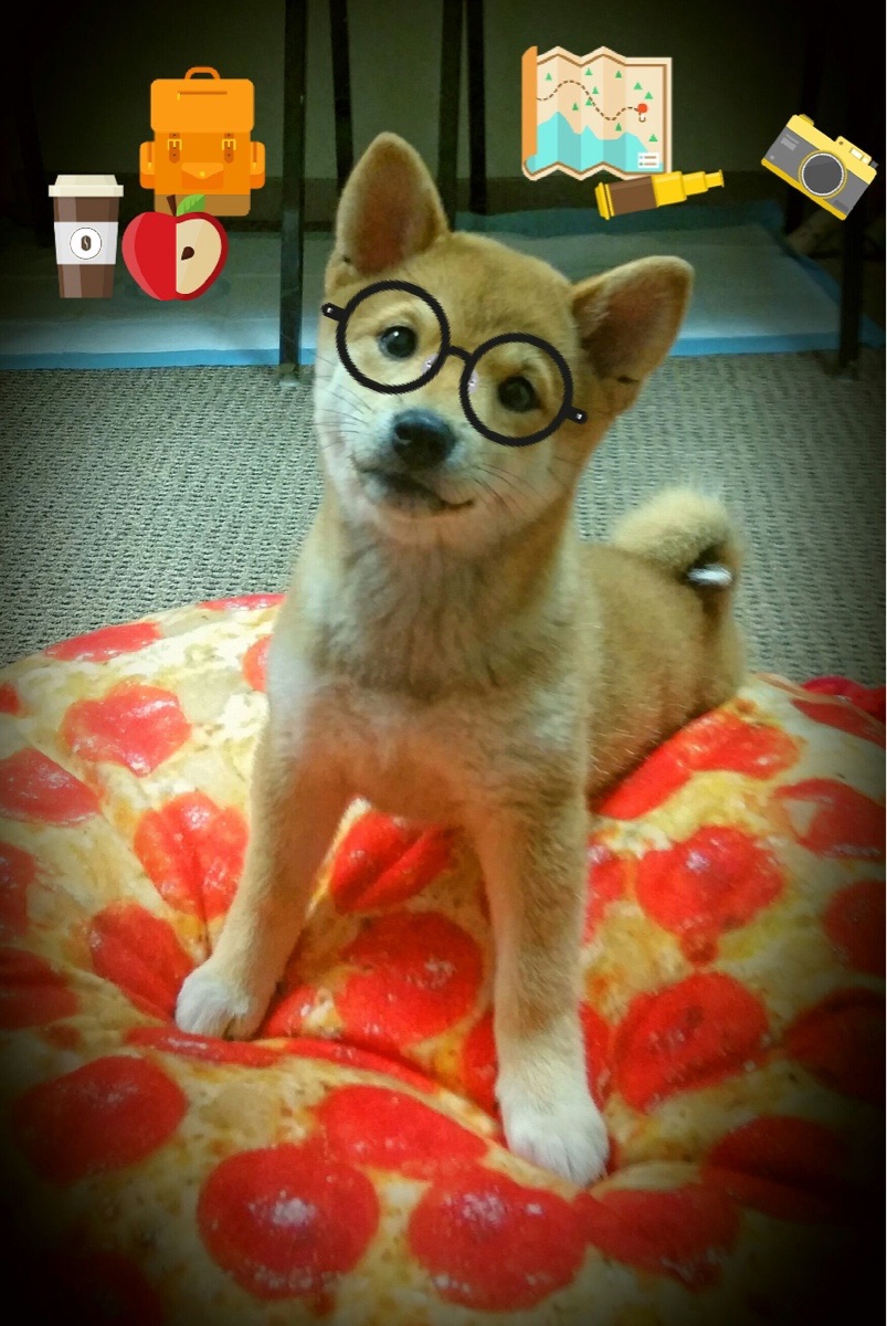 爱游戏体育（AYX）官方APP下载-足球比赛中哪支球队将引领领先？，足球那个队伍强