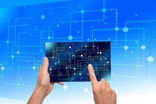 爱游戏官方-NBA联盟品牌资产价值提升路径研究，nba联盟logo设计理念分析