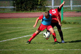 爱游戏官方-中国足球俱乐部运营效率调查，中国足球俱乐部运营效率调查问卷