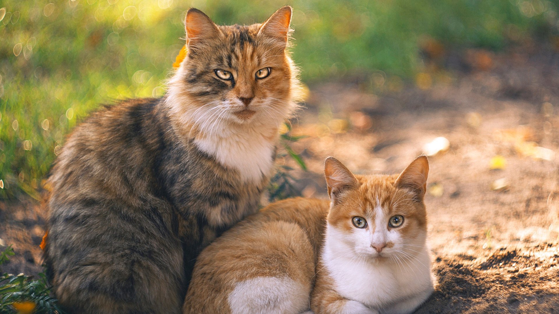 爱游戏官方网站-体育赛事赞助合作模式创新探索，体育赛事赞助原则