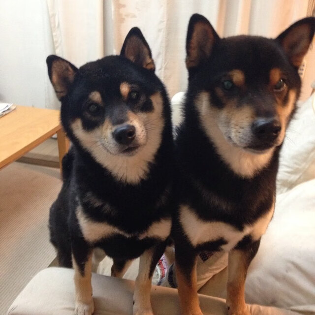 爱游戏娱乐网址-法甲球队利用GPS路径映射系统提高防守协同成功率