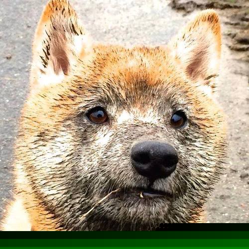 -英超青训体系心理压力管理促进技术动作稳定性的探索，英超青训最好的球队