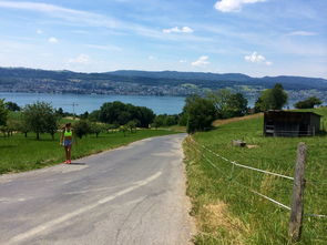 爱游戏在线登录入口-“缆绳滑水：东桃花岛赛场呈现全新水上运动魅力”