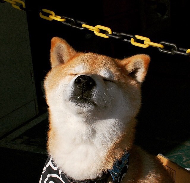 爱游戏娱乐-体育新闻中心发布体育社群运营与内容管理方案，体育类社团招新文案