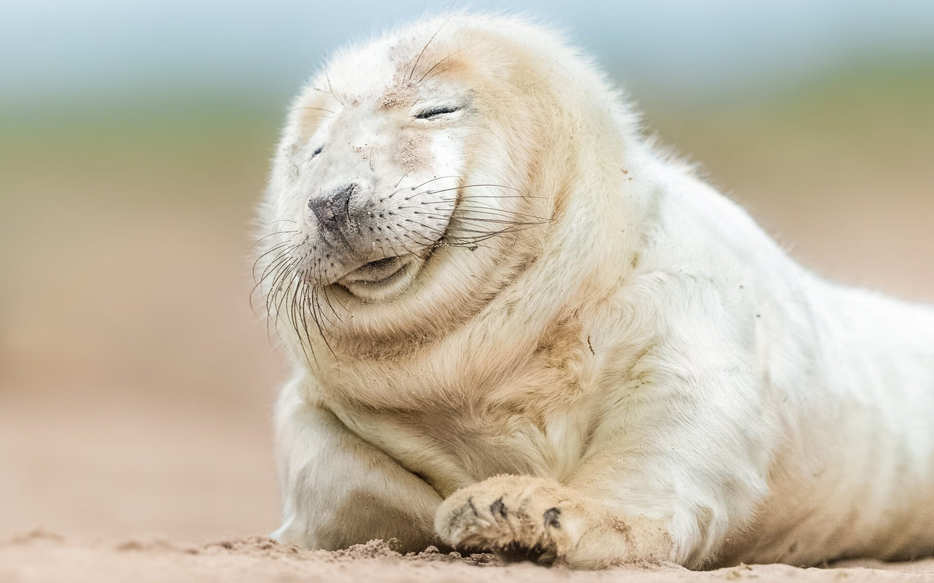 乔·波尔曼的个人突破和出色视野，为袋鼠队创造多次得分机会，乔丁·波尔特