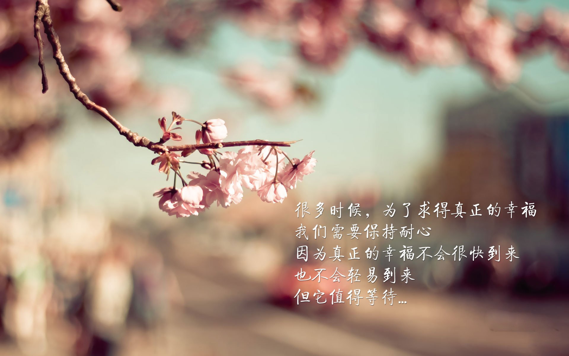 爱游戏娱乐-凯尔特人训练营首次开放媒体探访，凯尔特人训练馆箴言