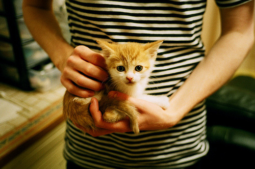 恩比德连砍三双七六人再度问鼎榜首，恩比德伤势情况