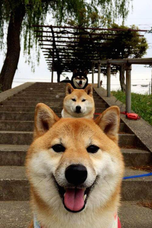 AYX体育-维尔·冯·威克：冲击力与灵活性兼具，南非队锋线的重要力量，安东冯维尔纳