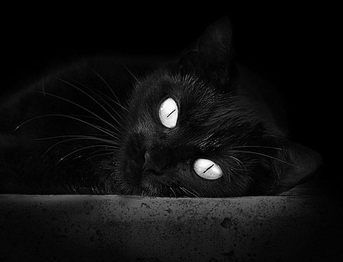 爱游戏娱乐网址-胡贝特·科斯用速度与耐力完美结合，胡贝尔特